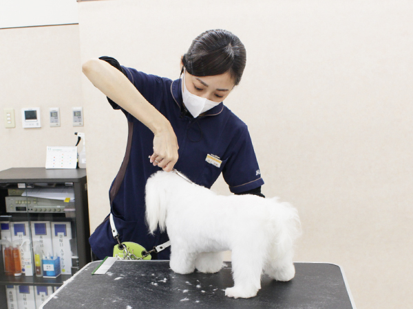 先生の試技を１年生が見学☆ＰＡＲＴ②☆